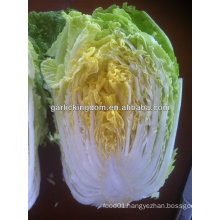 sell new crop fresh Chinese Cabbage from Good Farmer